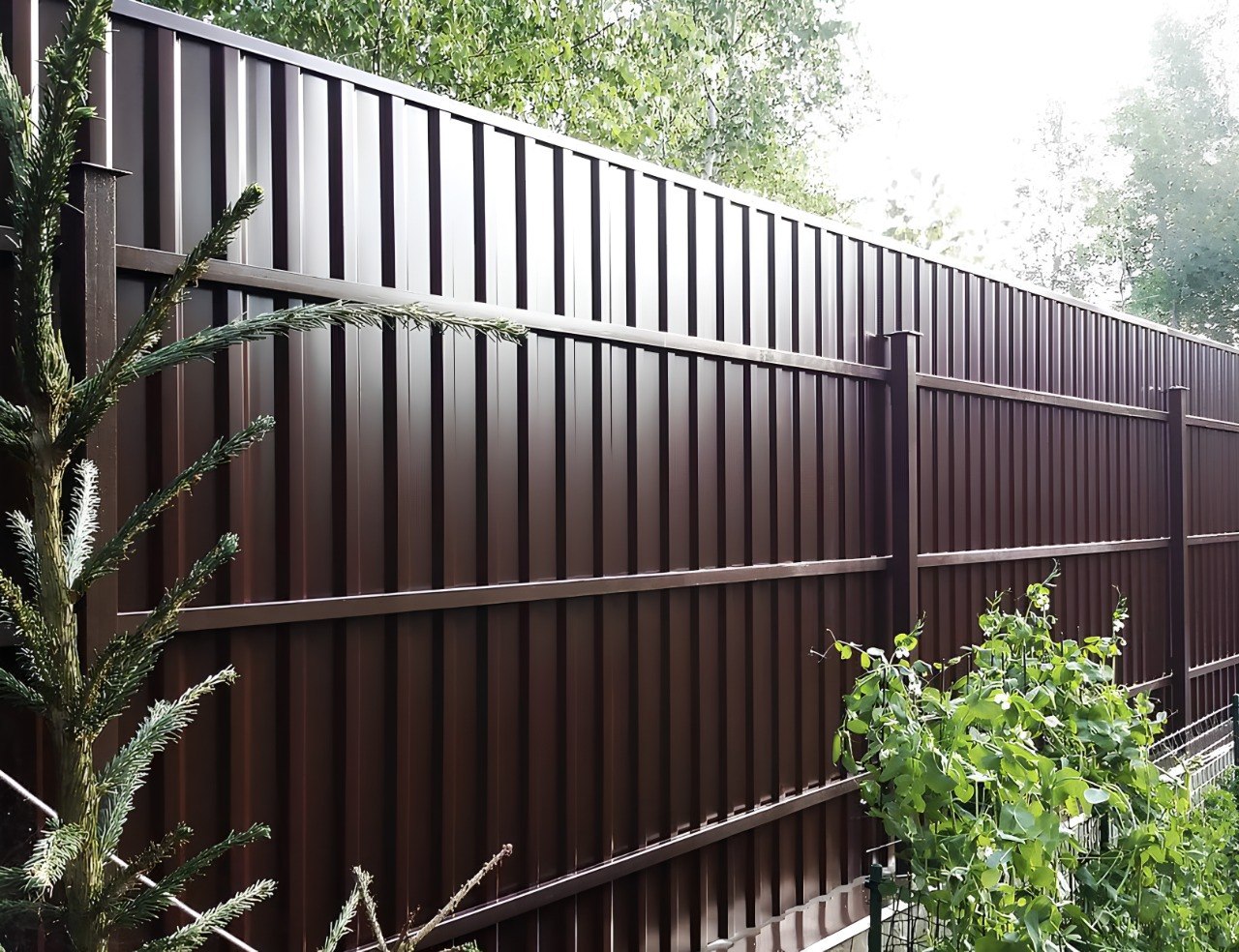 Заборы из профнастила (фото)